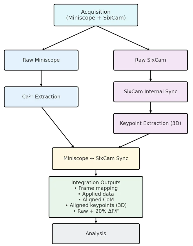 BBOP processing pipeline flowchart
