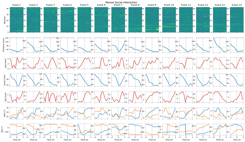 Neural activity aligned to 14 social interaction events