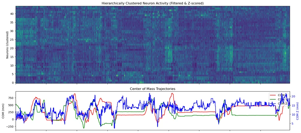 PMC neural activity aligned with center-of-mass trajectories in single animal