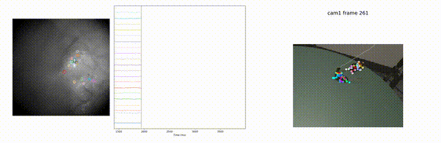 Example recording...